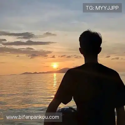惠月泽